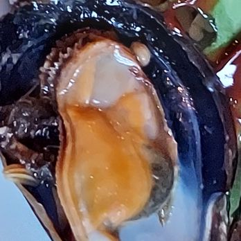 Whale’s Rib Tavern - Yummy little mussel - Wine Bars Near Me - Deer Isle, Maine Whale’s Rib Tavern - Yummy little mussel - Wine Bars Near Me - Deer Isle, Maine