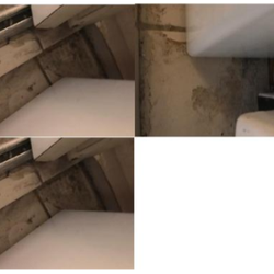 Desert Valley Realty Investments and Property Management - The place was filthy when I moved in. This is the laundry room that they claimed was professionally cleaned.
