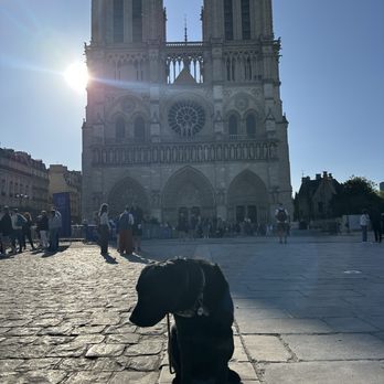 Notre Dame de la Paix - Paris, 75 Notre Dame de la Paix - Paris, 75