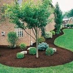 Advantage Lawn Care