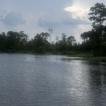 Jean Lafitte Swamp Tour - Boat Tours Near Me - Marrero, Louisiana