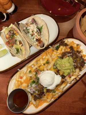 Gato Exotico by null