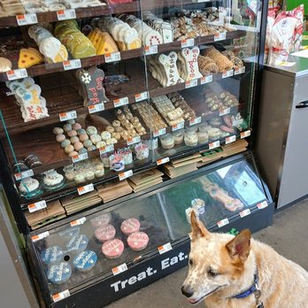 Pet Supplies Plus Arvada - My baby was not interested hmmmm - Pet Groomers Near Me - Arvada, Colorado