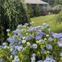 Photo of Russ Landscape Services