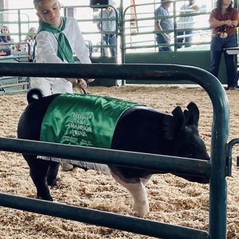 High Desert State Prison - Award winning pig at county fair - Jails & Prisons Near Me - Susanville, California High Desert State Prison - Award winning pig at county fair - Jails & Prisons Near Me - Susanville, California