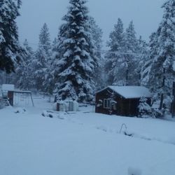 H2H Bison Ranch RV Camping - Picture perfect snow day