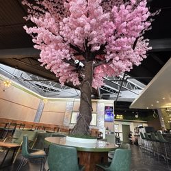 Pandacorn Cafe