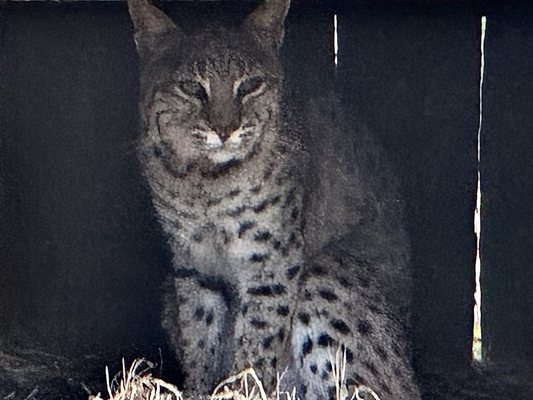 Ellie Schiller Homosassa Springs Wildlife State Park by null