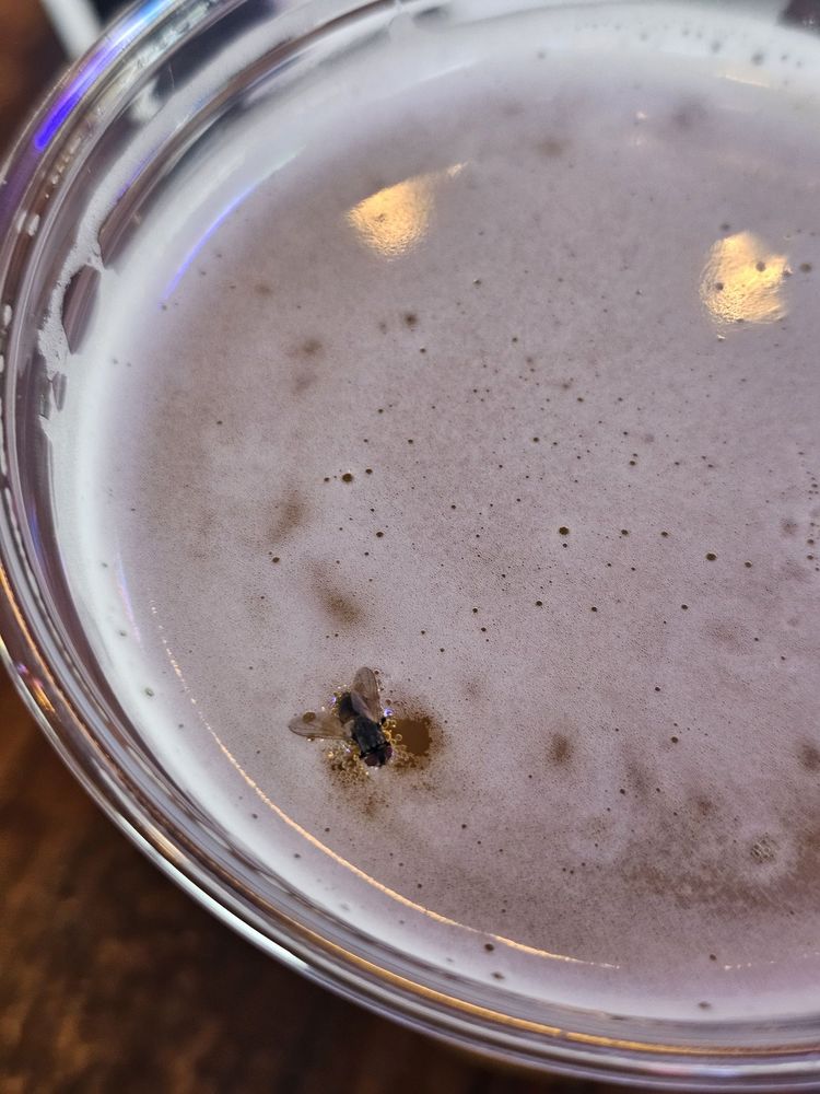 Social spots from Maggie's R&R