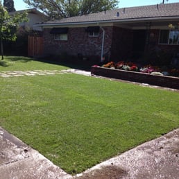 Freshly-installed Enduraturf.