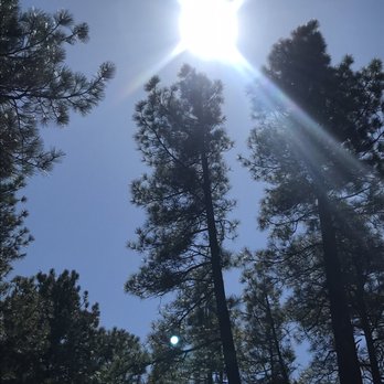 Bearizona - Aesthetics of nature - Zoos Near Me - Williams, Arizona