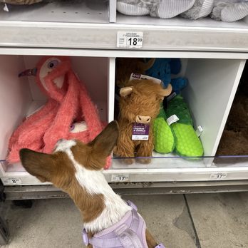 Petco - Toy cubbies - Pet Stores Near Me - Irvine, California Petco - Toy cubbies - Pet Stores Near Me - Irvine, California