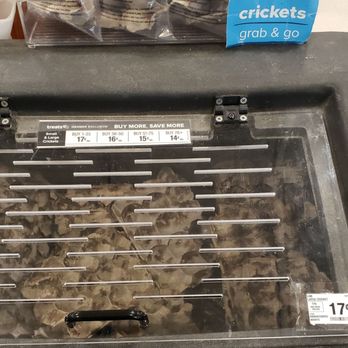 PetSmart - Pet Groomers Near Me - Plantation, Florida