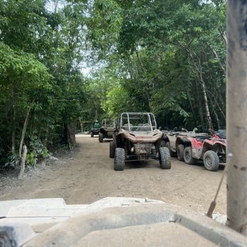 Selvatica - Atv - Ziplining Near Me - Puerto Morelos, ROO Selvatica - Atv - Ziplining Near Me - Puerto Morelos, ROO