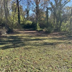 Tennessee Land & Lawn - Before clearing leaves.