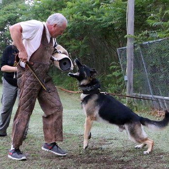 Milnerhaus Kennels - Pet Sitting Near Me - Throop, Pennsylvania Milnerhaus Kennels - Pet Sitting Near Me - Throop, Pennsylvania