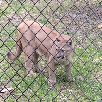 Naples Zoo - Zoos Near Me - Naples, Florida
