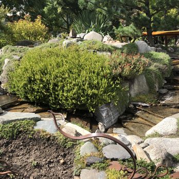 Oso Negro Coffee - Water landscaping feature next to their patio - Coffee & Tea Near Me - Nelson, British Columbia Oso Negro Coffee - Water landscaping feature next to their patio - Coffee & Tea Near Me - Nelson, British Columbia