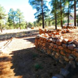 Elden Pueblo Heritage Site