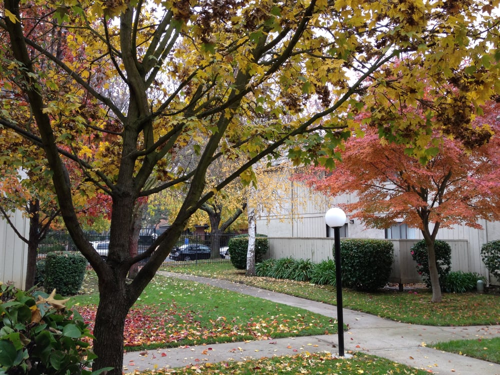 CADILLAC DRIVE TOWNHOMES 10 Photos & 10 Reviews Apartments 100 Cadillac Dr, Sacramento, CA