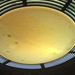 La Quinta by Wyndham Erie - Dead bugs in shower light