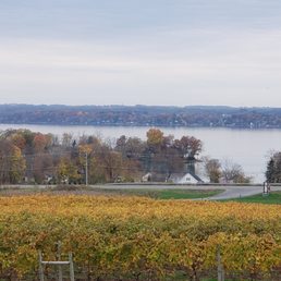 a view of a vineyard with a lake in the background a view of a vineyard with a lake in the background