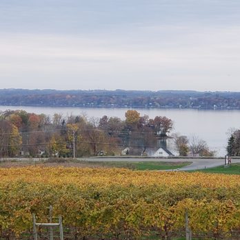 Quarry Ridge Winery - a view of a vineyard with a lake in the background - Wine Tasting Room Near Me - Union Springs, New York Quarry Ridge Winery - a view of a vineyard with a lake in the background - Wine Tasting Room Near Me - Union Springs, New York