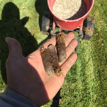 BC Lawn Care - a person holding a bird in their hand - Lawn Services Near Me - Aurora, Colorado BC Lawn Care - a person holding a bird in their hand - Lawn Services Near Me - Aurora, Colorado