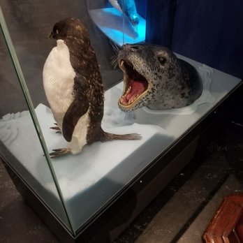 Australian Museum - Museums Near Me - Sydney, NSW Australian Museum - Museums Near Me - Sydney, NSW