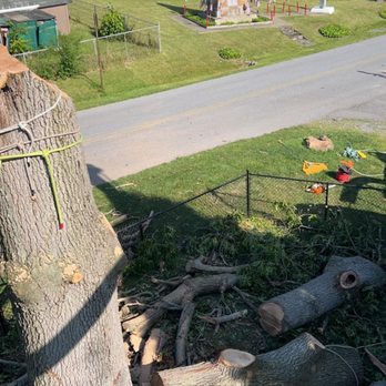 Brumbaugh Tree Removal and Landscaping - Tree Services Near Me