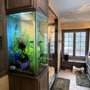Photo of Tank-You Aquariums & Maintenance,LLC