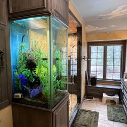 Tank-You Aquariums & Maintenance,LLC