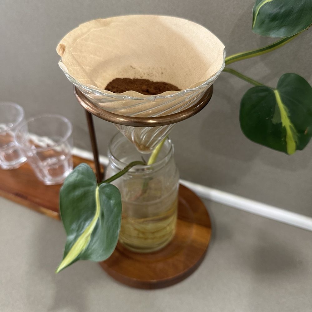 Kefita Coffee - Cute planter - Coffee & Tea Near Me - Houston, Texas