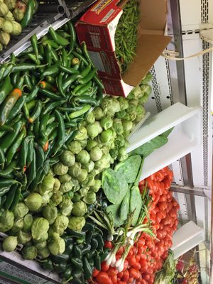 Campos Market by null