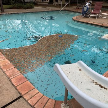 All Seasons Pool Service - BEFORE - Pool Cleaners Near Me All Seasons Pool Service - BEFORE - Pool Cleaners Near Me