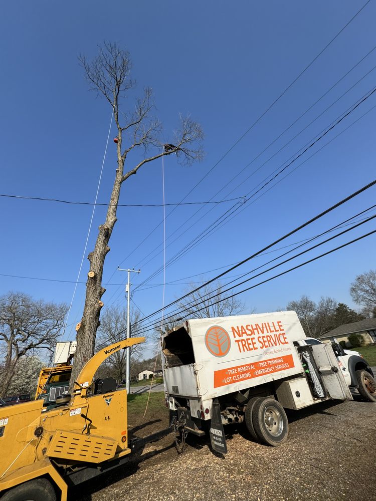 Nashville Tree Service - tree service in Nashville, TN