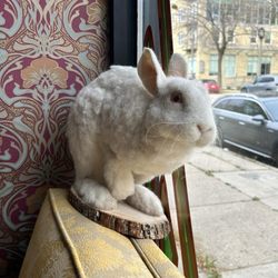 Honey Wraith Tattoo - Hello little rabbit