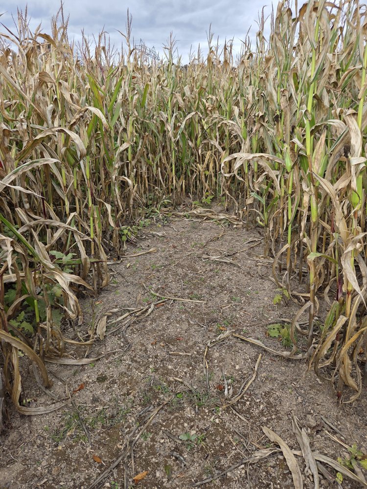 Maple Valley Acres - equestrian in Harrisburg, PA