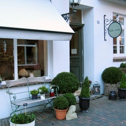 Buksbom - Hochwertige Buchsbäume aus Schleswig-Holstein