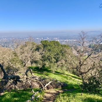 Acalanes Ridge Recreation Area - Views - Parks Near Me - Walnut Creek, California