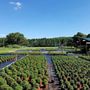 Photo of Green Farms