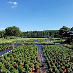 Green Farms