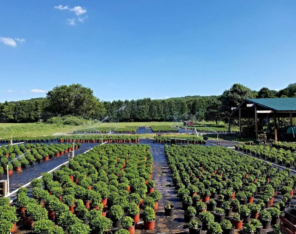 Green Farms - beekeeping in Washington, NJ
