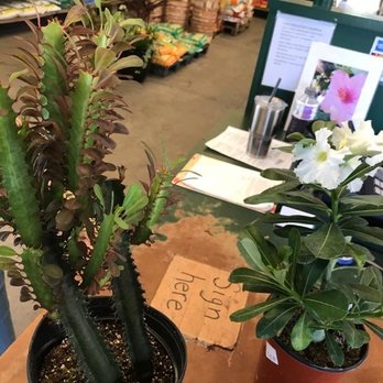 Plant Ranch Nursery - Nurseries & Gardening Near Me - Jacksonville Beach, Florida