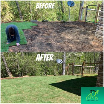 Davis Lawn Service - before and after - Lawn Services Near Me