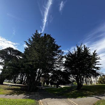 Alta Plaza Park - Parks Near Me - San Francisco, California Alta Plaza Park - Parks Near Me - San Francisco, California