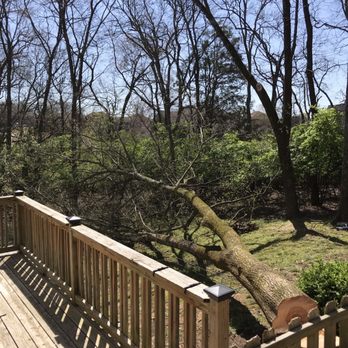 Langford Tree Care - Tree Services Near Me - Hendersonville, Tennessee Langford Tree Care - Tree Services Near Me - Hendersonville, Tennessee