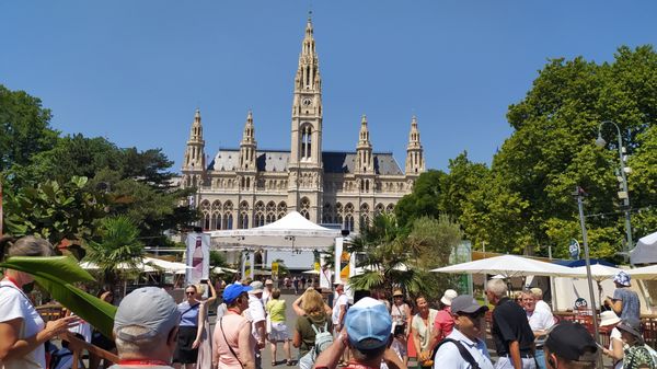 Vienna City Hall by null
