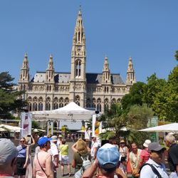 Wiener Rathaus