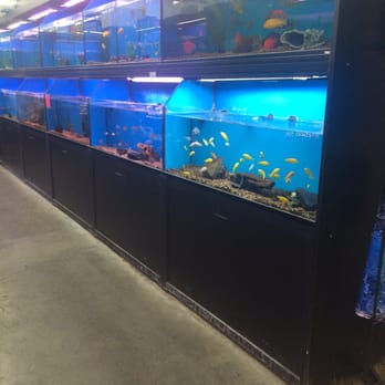 Super Pets - Pet Stores Near Me - Temple City, California